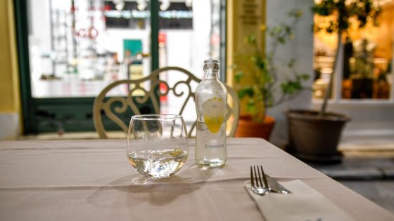 Alcool en cétose : le foie traite l&rsquo;éthanol d&rsquo;abord, la tolérance chute