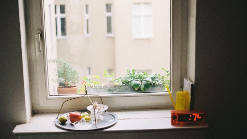 Assiette d'œufs et d'avocat sur une table près d'une fenêtre, lumière naturelle du matin