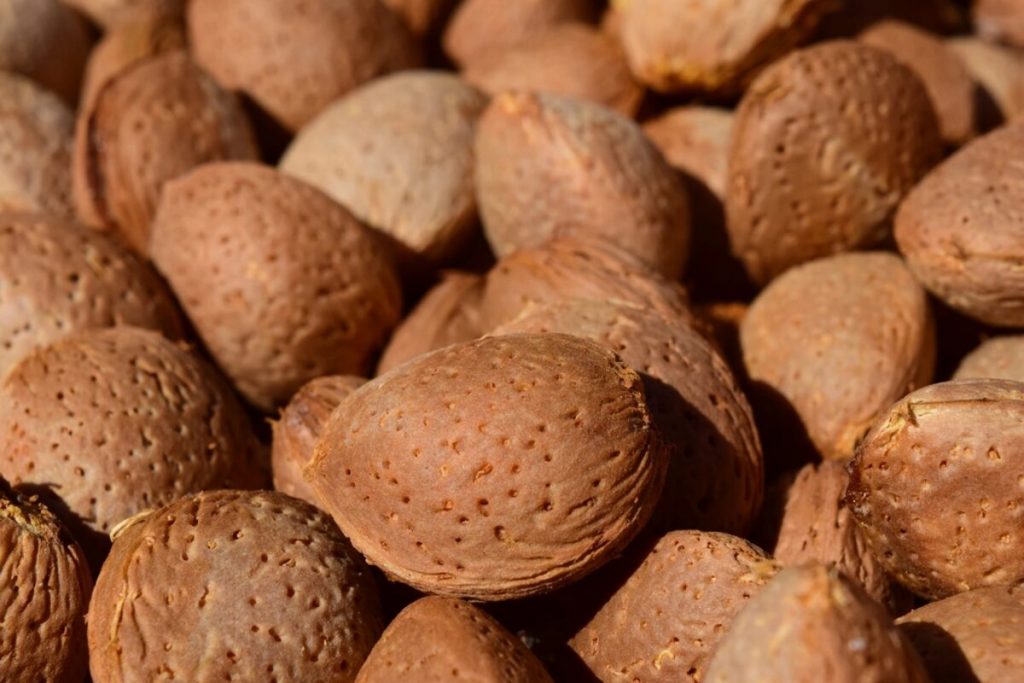 Farine d'amande ou farine de coco : comment choisir en keto