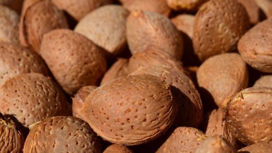Farine d&rsquo;amande ou farine de coco : comment choisir en keto