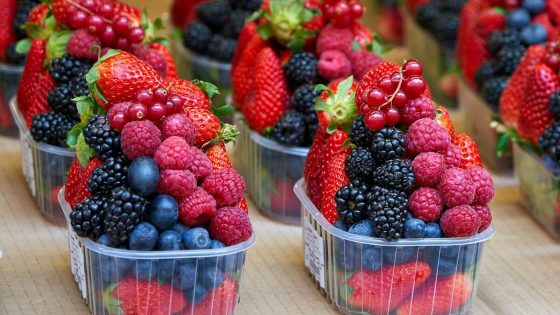 Quels fruits sont autorisés en keto (et lesquels éviter)