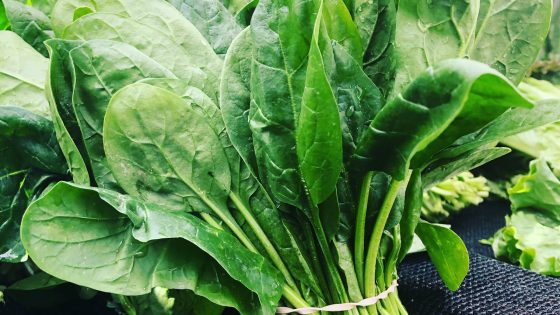 Antivitamines K et légumes verts en cétogène : pourquoi l&rsquo;INR décroche, et quoi faire