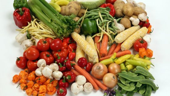 Régime cétogène et carences : les vitamines et minéraux à surveiller