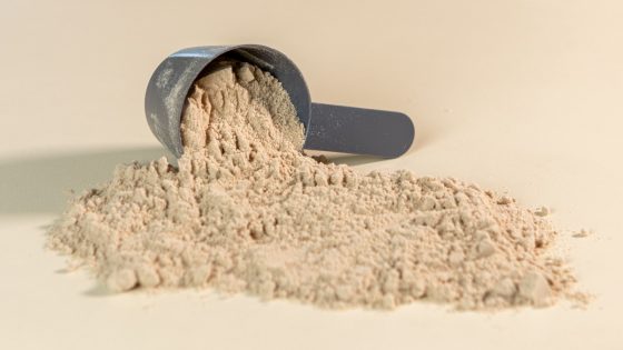Whey, caséine, collagène : glucides cachés et effet insulinique réel en cétogène